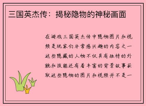 三国英杰传：揭秘隐物的神秘画面
